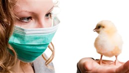 انفلونزا الطيور اعراضها