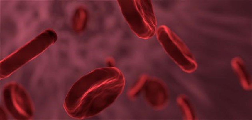 ارتفاع عدد خلايا الدم الحمراء