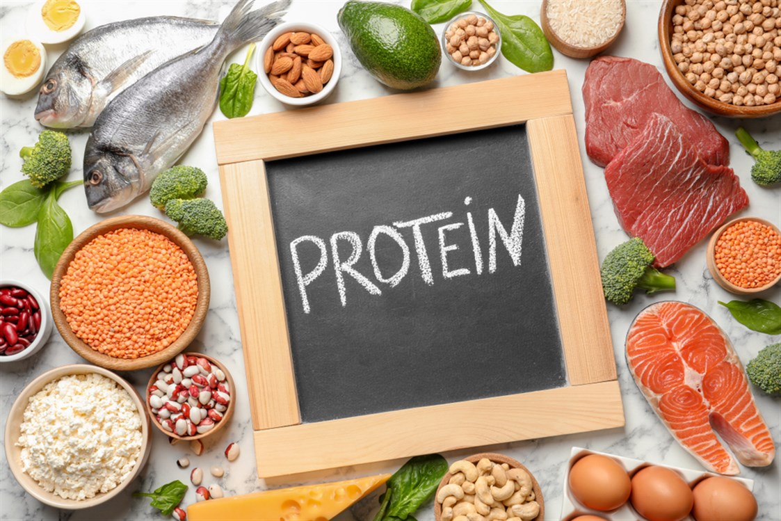  كمية البروتين اليومية