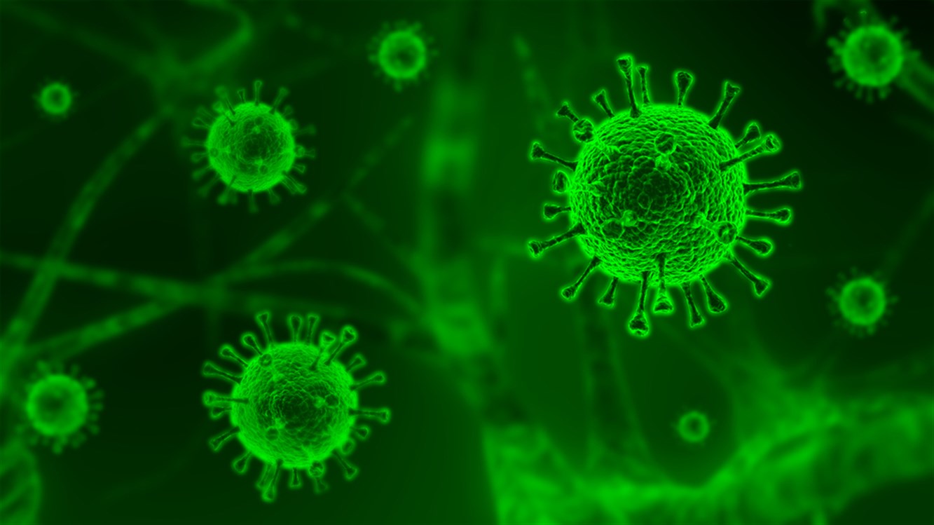  ما هي الفيروسات التاجية غير كورونا