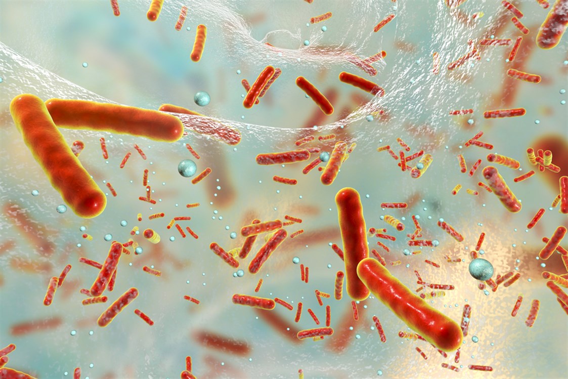 بكتيريا مقاومة للمضادات الحيوية