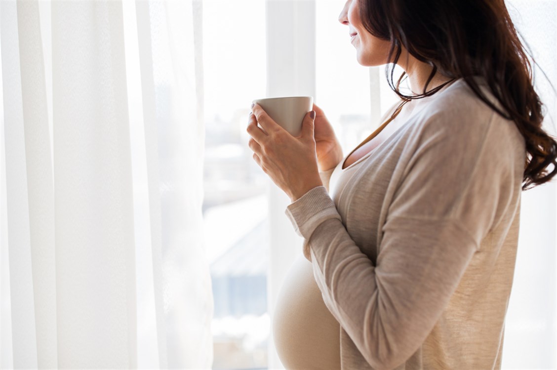 النعناع المغلي للحامل
