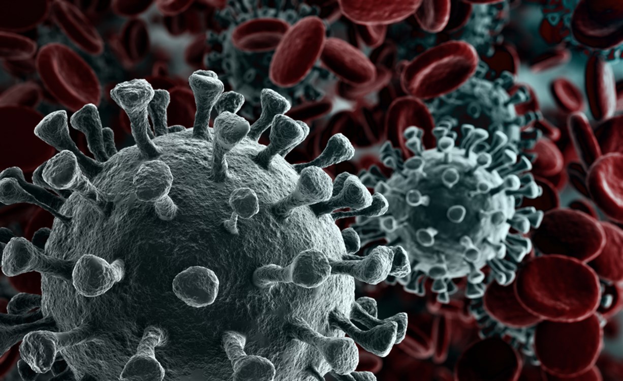 كيف يغزو فيروس كورونا الخلايا البشرية