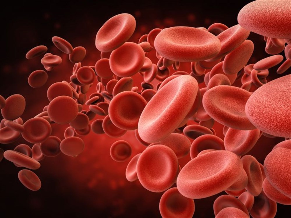 الدم الحمراء خلايا شكل شكل البقع