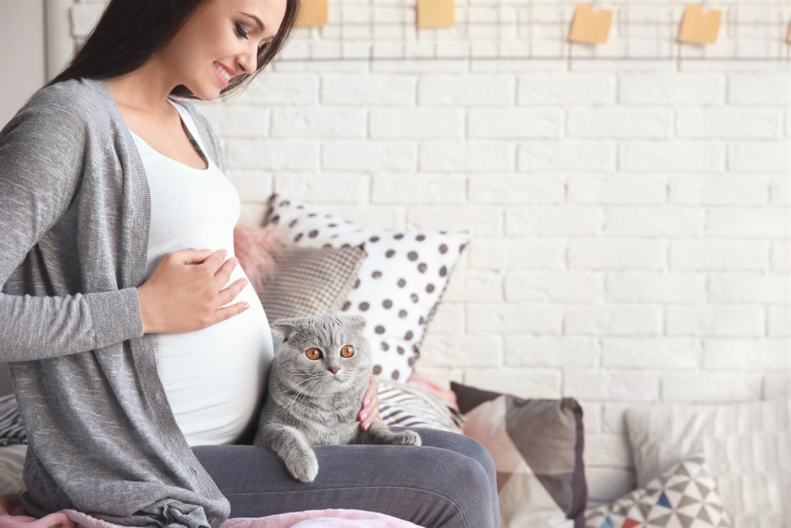  تجنب القطط اثناء الحمل