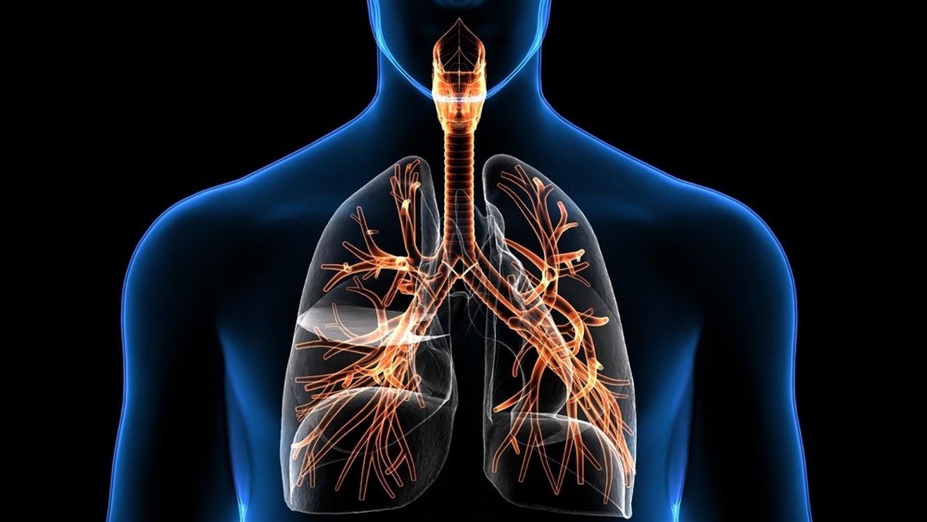 كيف تنقي الجهاز التنفسي